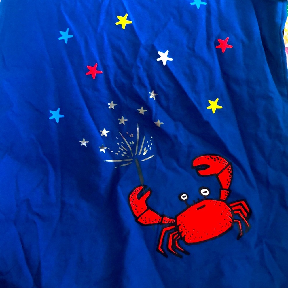 Hanna Andersson Bright blue short sleeve Sz. 14-16
